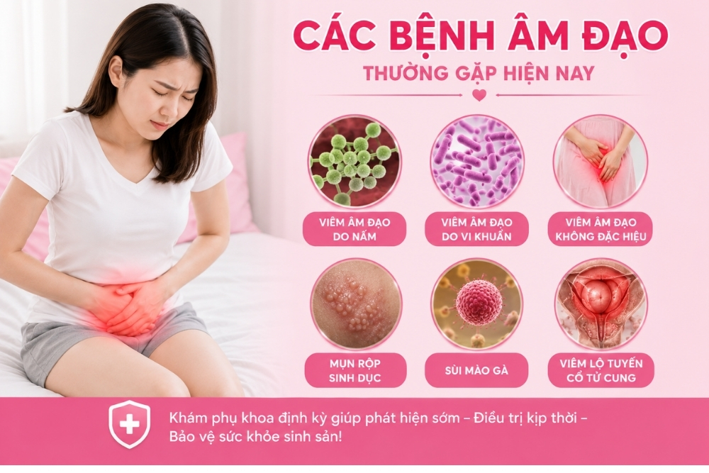 Bệnh Âm Đạo – Mối Đe Dọa Thầm Lặng Đối Với Sức Khỏe Phụ Nữ
