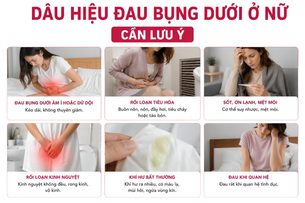 Đau Bụng Dưới Ở Nữ: Những Nguyên Nhân Thường Gặp