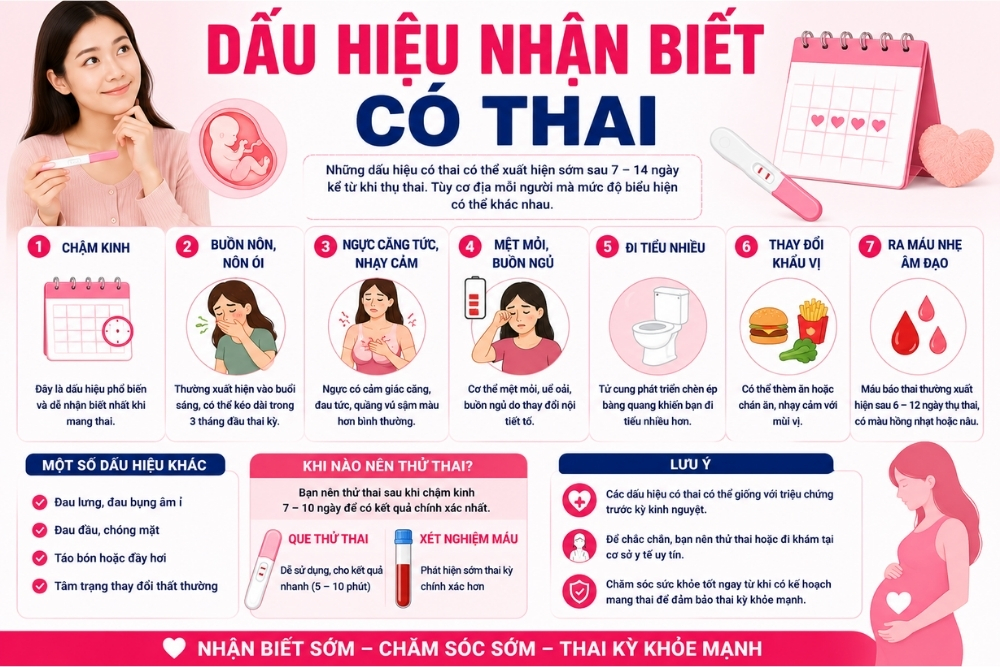 Nhận Biết Dấu Hiệu Có Thai Sớm Để Chủ Động Chăm Sóc Sức Khỏe