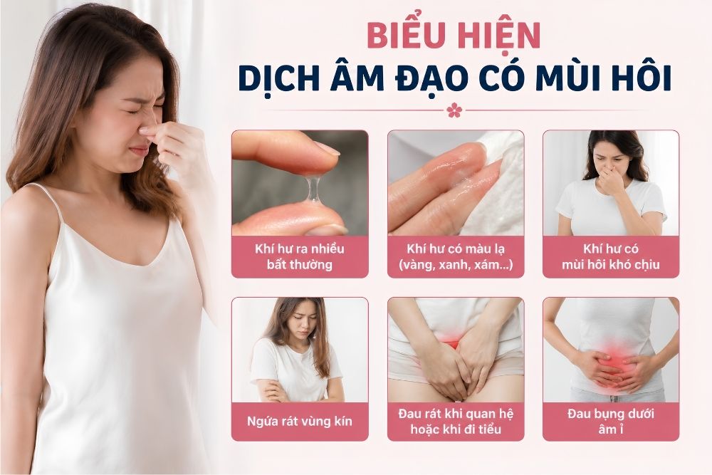 Vì Sao Dịch Có Mùi Hôi? Những Điều Chị Em Cần Biết