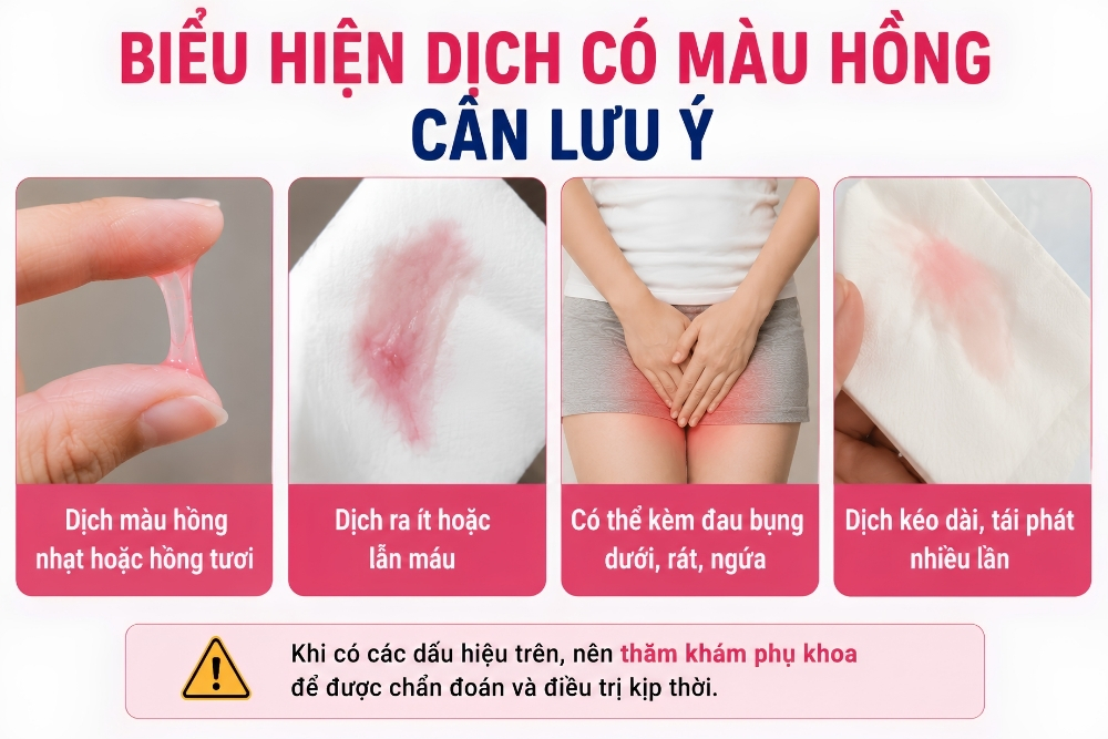 Dịch Có Màu Hồng Là Dấu Hiệu Bệnh Gì? Khi Nào Cần Thăm Khám Phụ Khoa?