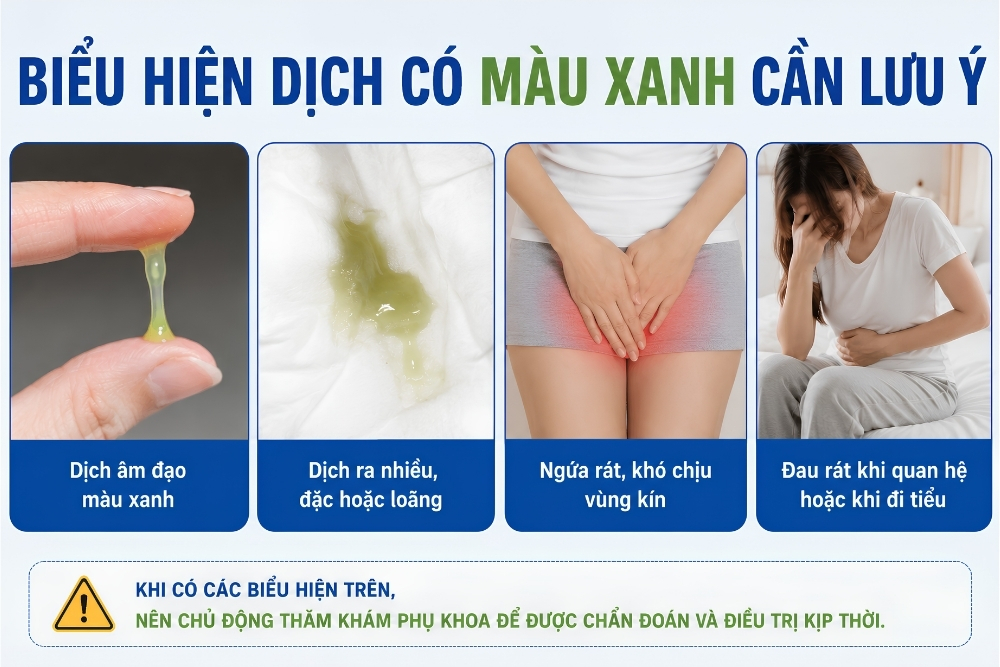 Cảnh Báo: Dịch Có Màu Xanh Có Thể Là Dấu Hiệu Bệnh Phụ Khoa Nguy Hiểm