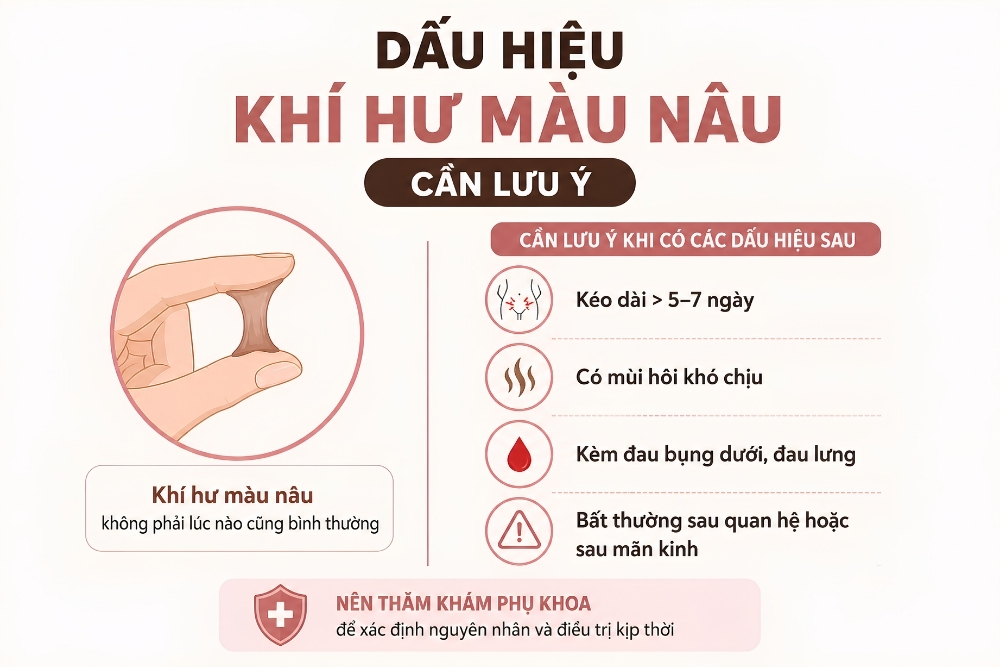 Khí Hư Có Màu Nâu: Biểu Hiện Sinh Lý Hay Bệnh Lý?