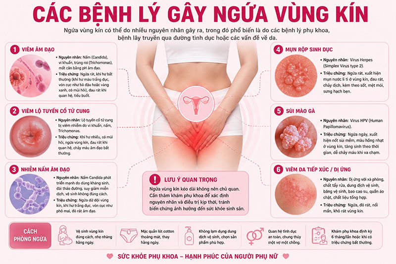 Các bệnh lý có thể gây ngứa vùng kín và cách nhận biết sớm