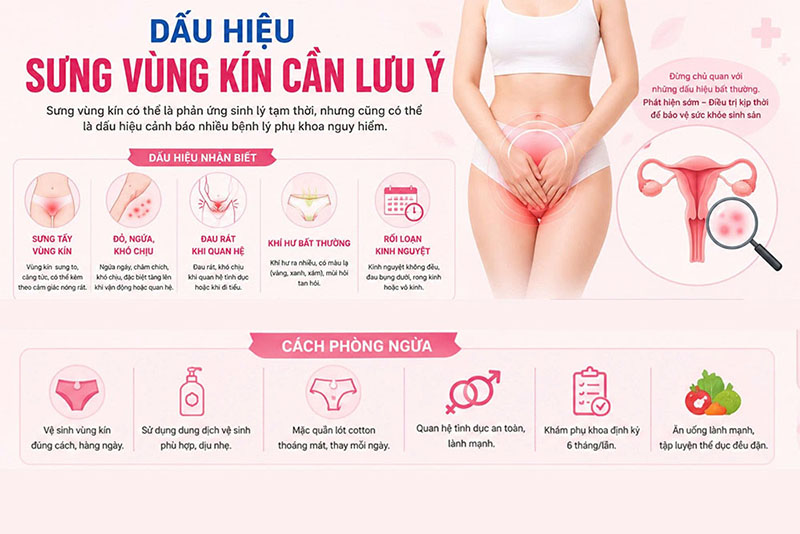 Sưng vùng kín bất thường: Đừng để bệnh tiến triển nặng mới điều trị