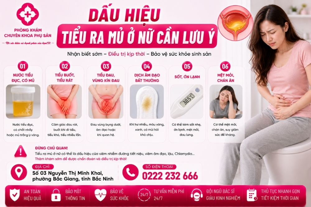 Tiểu Ra Mủ Ở Nữ Cảnh Báo Bệnh Gì? Có Nguy Hiểm Không?
