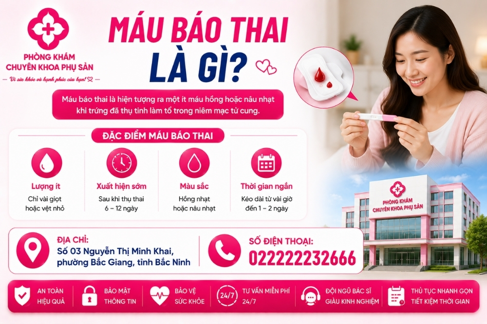 Máu Báo Thai Xuất Hiện Khi Nào? Cách Phân Biệt Và Hướng Xử Lý An Toàn