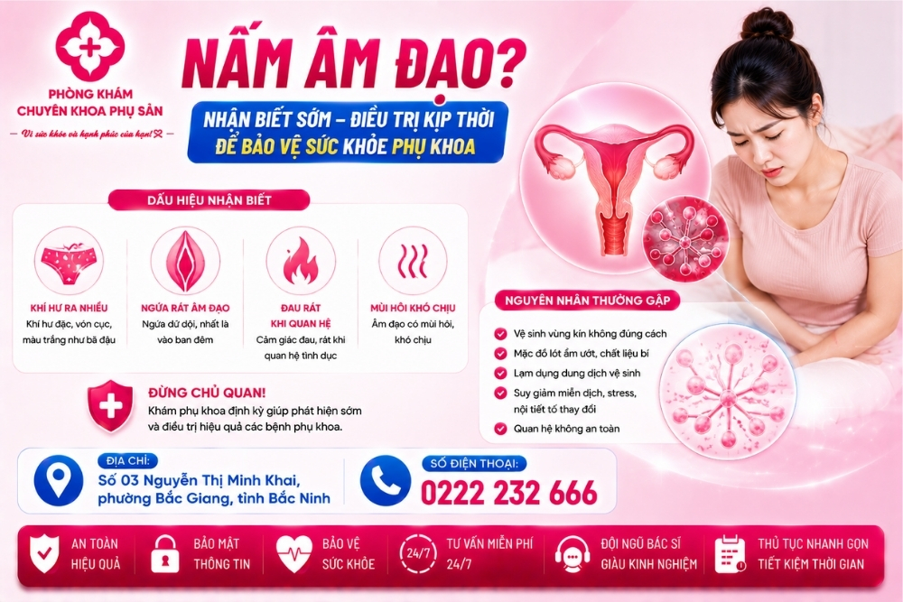 Nấm âm đạo: Nguyên nhân, dấu hiệu và cách điều trị hiệu quả